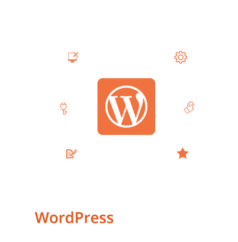 boy-wordpress