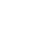 wordpress developer